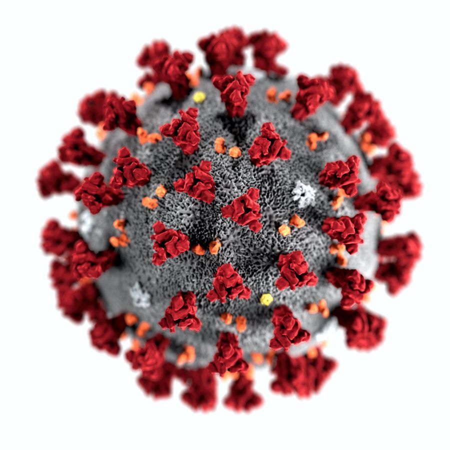 coronavirus reprezentare grafica